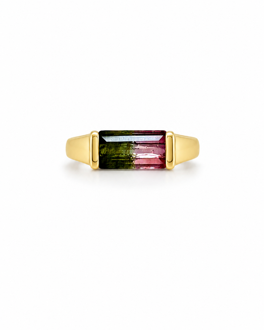 Half Bezel Watermelon Tourmaline Ring (mini)
