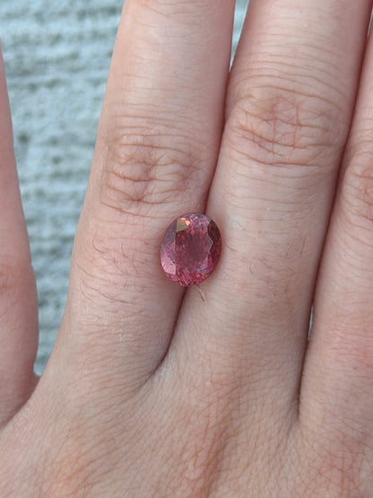 Pink Tourmaline Capsule