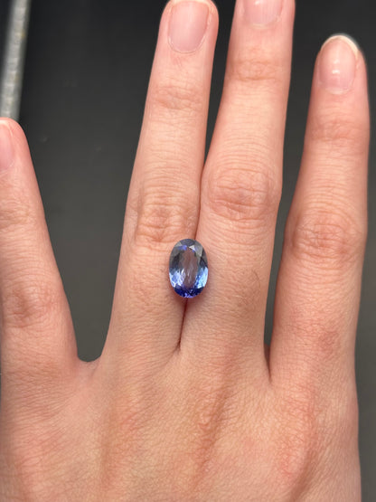 Tanzanite (oval) - 2.77 ct