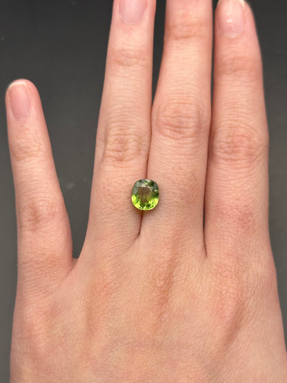 Copper Bearing Cushion Tourmaline (paraiba) - 1.56 ct