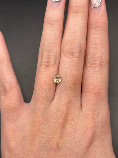 yellow sapphire (oval) .76 ct