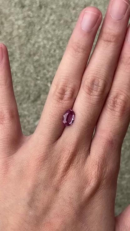 Pink Sapphire (oval) - 1.29 ct