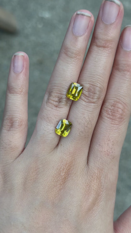 Sphene (cushion) matching pair - 4.4 ct