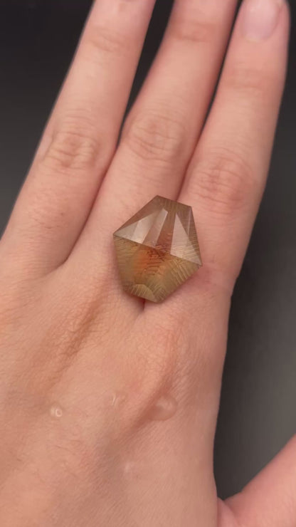 Fantasy Cut - Oregon Sunstone (17.5 ct)