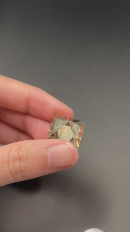 Fantasy Cut - Oregon Sunstone (12.8 ct)