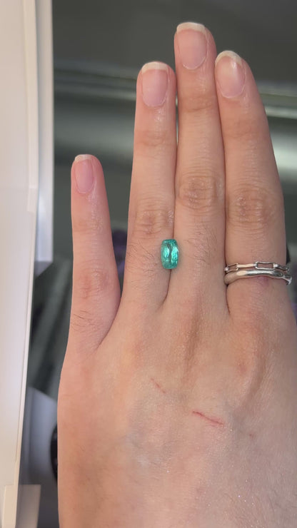 Paraiba Tourmaline - Brazil + Mozambique