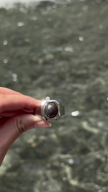 Alison Lin Black Opal 'Legacy Signet' Ring in White Gold