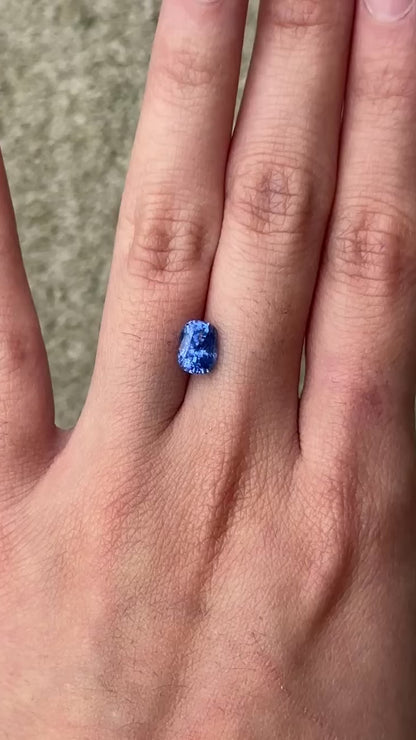 Blue sapphire (cushion) - 1.70 ct